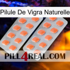 Natural Vigra Pill 27